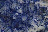 Vivid-Blue Azurite Encrusted Quartz Crystals - China #213827-2